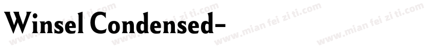Winsel Condensed字体转换